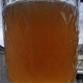 Home made Maple Syrup